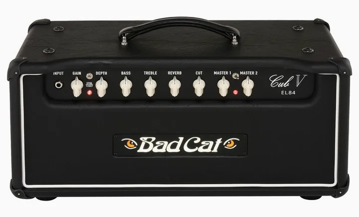 Bad Cat Cub V EL84 Head, krata głośnika