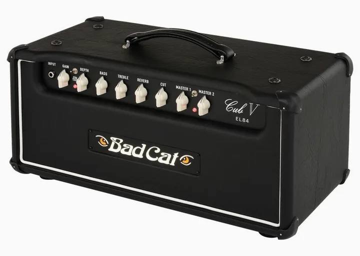 Bad Cat Cub V EL84 Head sfotografowana frontalnie