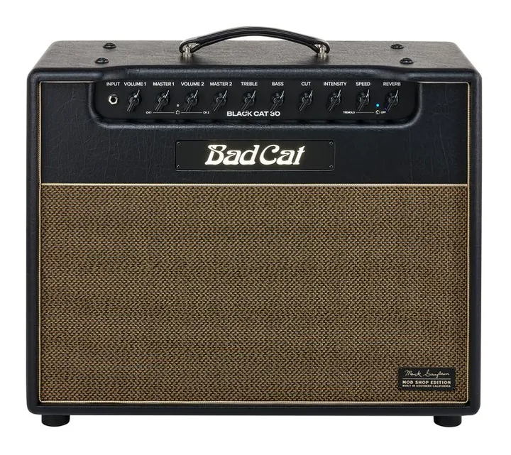 Bad Cat Mod Shop Black Cat 30 Combo, panel sterowania z bliska