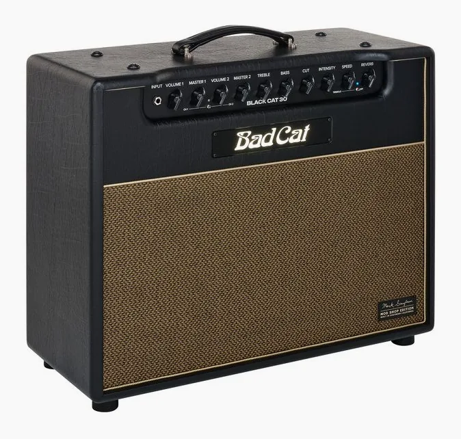 Bad Cat Mod Shop Black Cat 30 Combo, gałki i przełącznik kanałów