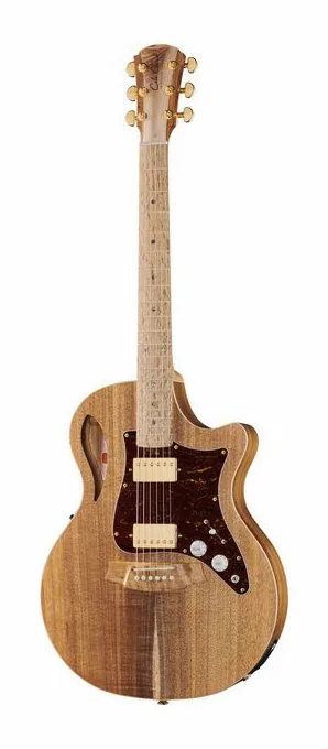 Cole Clark TL2EC-BLBL-HH Thin Line widziana od przodu