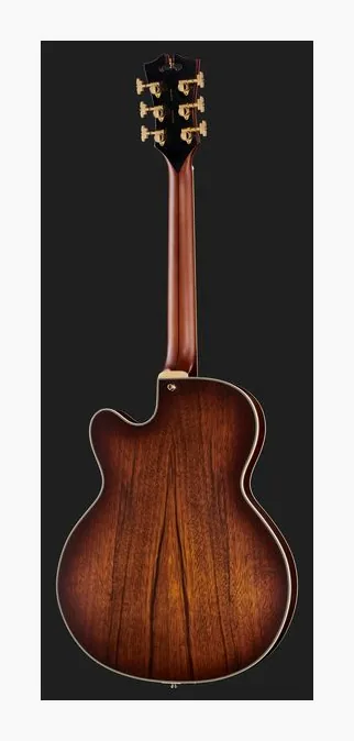 DAngelico Deluxe 59 Satin Brown Burst, korpus i lakier z bliska
