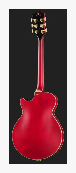 DAngelico Deluxe Bobby Weir 3 STW, gryf i podstrunnica z boku