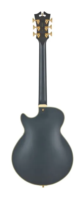 DAngelico Deluxe Bobby Weir 3 STW ujęta od przodu na neutralnym tle