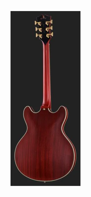 DAngelico Deluxe DC Satin Brown Burst sfotografowana frontalnie