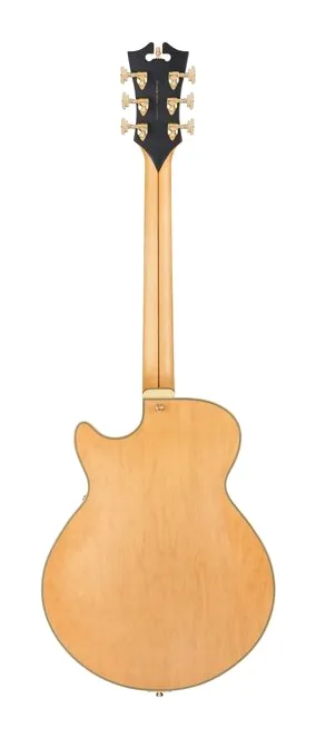 DAngelico Deluxe SS Satin Honey, tył korpusu