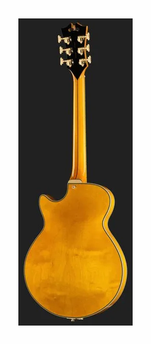 DAngelico Excel SS Amber, przetworniki i gałki regulacji