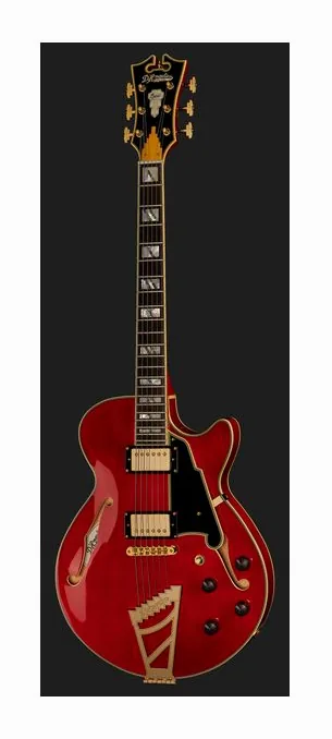 DAngelico Excel SS Trans Cherry, tył korpusu