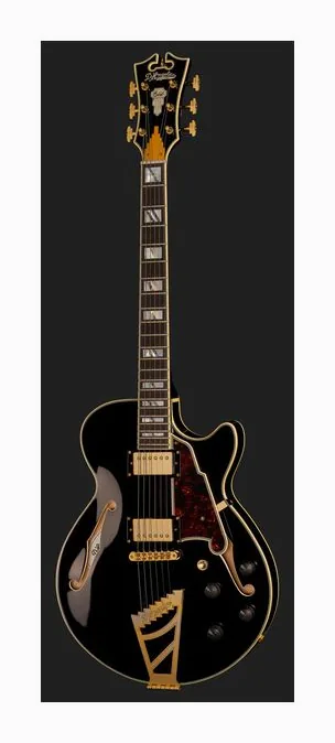DAngelico Excel SS Solid Black, przetworniki i gałki regulacji