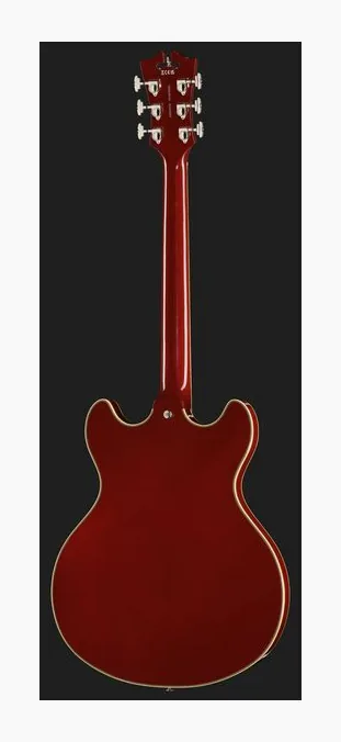 DAngelico Premier DC Brown Burst widziana od przodu