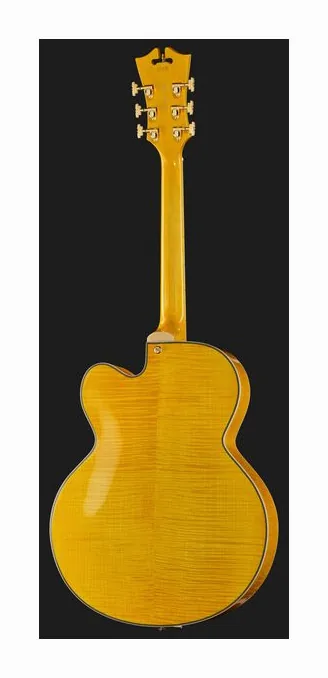 DAngelico Premier EXL1 Honey Blonde, gryf i podstrunnica z boku