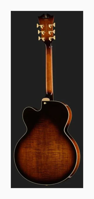 DAngelico Premier EXL1 Brown Burst, przetworniki i gałki regulacji