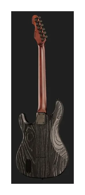 ESP LTD SN-1000 HT Silver Blast, gryf i podstrunnica z boku