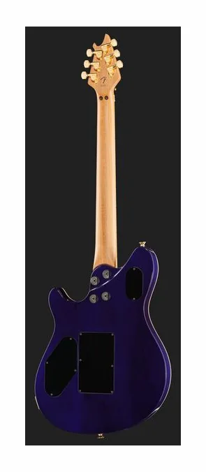 Evh Wolfgang Special Str AGED RBW z bliska od przodu