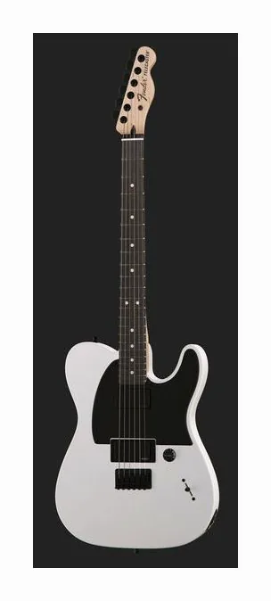 Fender Jim Root Stratocaster EB BK ujęta od przodu na neutralnym tle