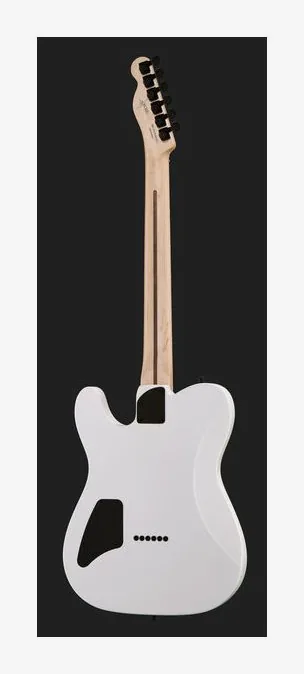Fender Jim Root Telecaster EB SHG z bliska od przodu