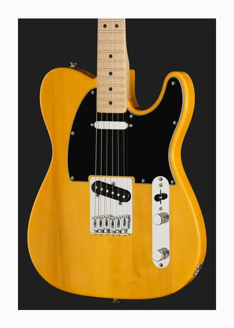 Fender Standard Tele MN BPG BTB, tył korpusu