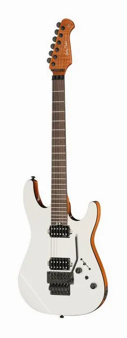 Harley Benton Fusion-IV HH RW FR WM ujęta od przodu na neutralnym tle