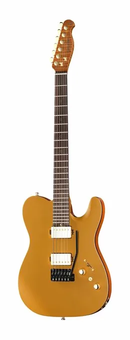 Harley Benton Fusion-T II HH RW SGD z bliska od przodu