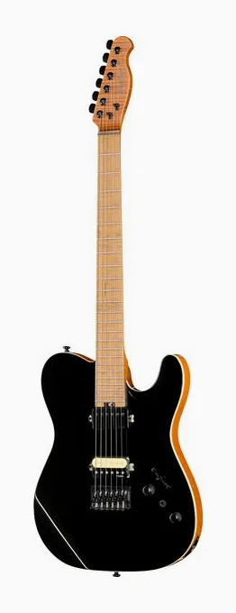 Harley Benton Fusion-T II HH MN HT BM ujęta od przodu na neutralnym tle