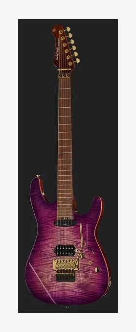 Harley Benton Guitar MAX Fusion Signature PF, przetworniki i gałki regulacji
