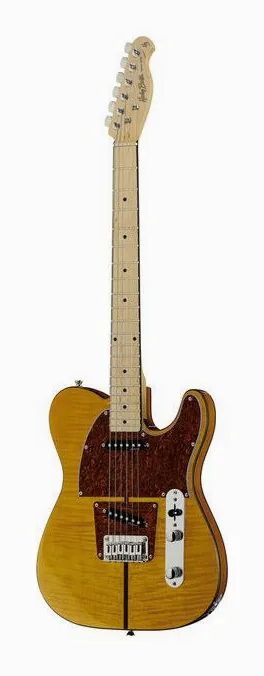 Harley Benton TE-80 NT Deluxe Series ujęta od przodu na neutralnym tle