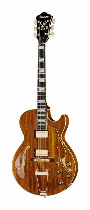 Ibanez AG95K-NT sfotografowana frontalnie