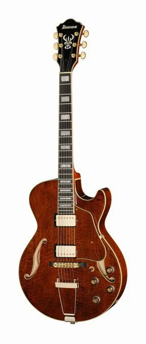 Ibanez AG95MG-DA z bliska od przodu