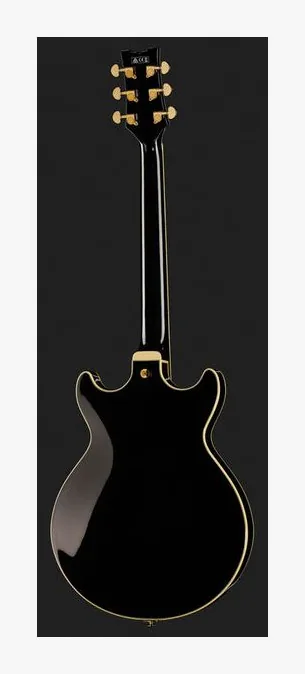 Ibanez AMH90-BK, przetworniki i gałki regulacji