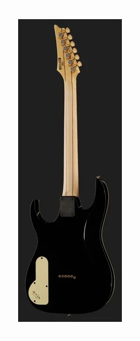 Ibanez PGM50-BK, przetworniki i gałki regulacji