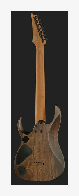 Ibanez RGD7521PB-DSF, przetworniki i gałki regulacji