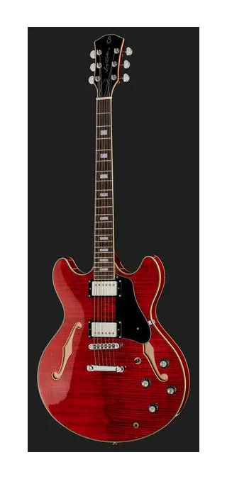 Larry Carlton H7 STR, tył korpusu