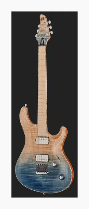 Mayones Guitars Regius Core 6 AMH, tył korpusu