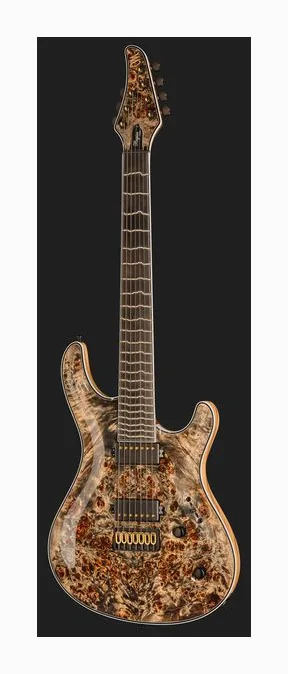 Mayones Guitars Regius Core 6 AMH widziana od przodu