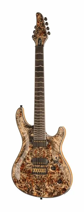 Mayones Guitars Regius Core 7 Trans Graphite z bliska od przodu