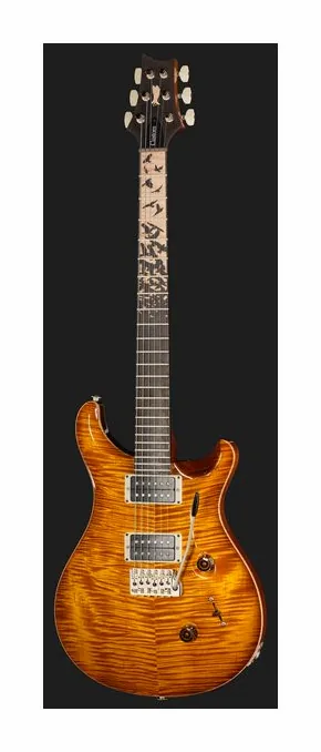 PRS Birds Of A Feather Custom 24 C ujęta od przodu na neutralnym tle