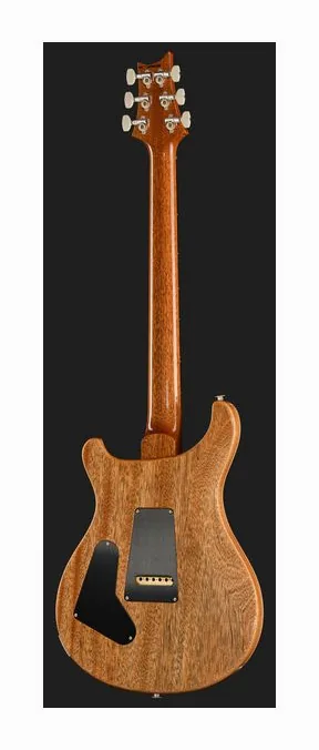 PRS Birds Of A Feather Custom 24 B, przetworniki i gałki regulacji