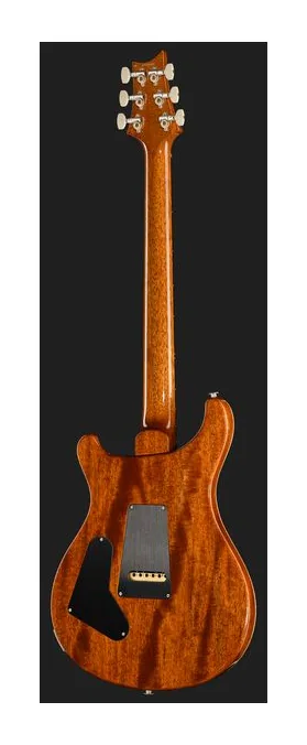 PRS Birds Of A Feather Custom 24 B widziana od przodu