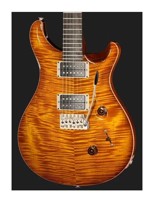 PRS Birds Of A Feather Custom 24 H, prog zerowy i pierwsze pozycje na gryfie