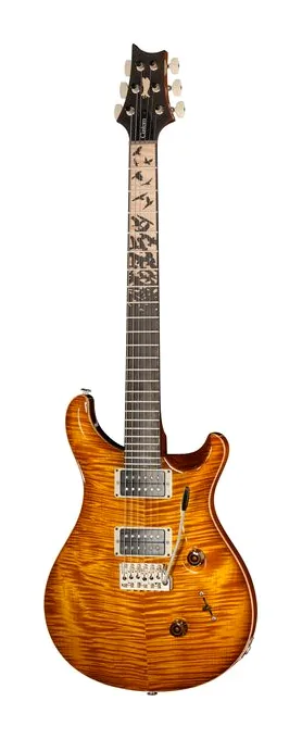 PRS Birds Of A Feather Custom 24 H widziana od przodu