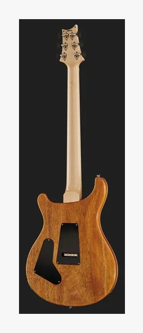 PRS Custom 24 Floyd BGWB, korpus i lakier z bliska