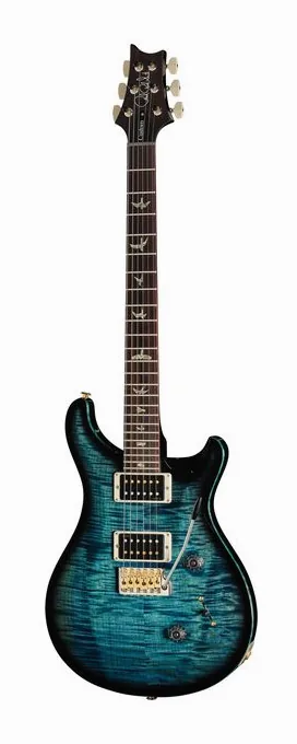 PRS Custom 24 Floyd FW ujęta od przodu na neutralnym tle