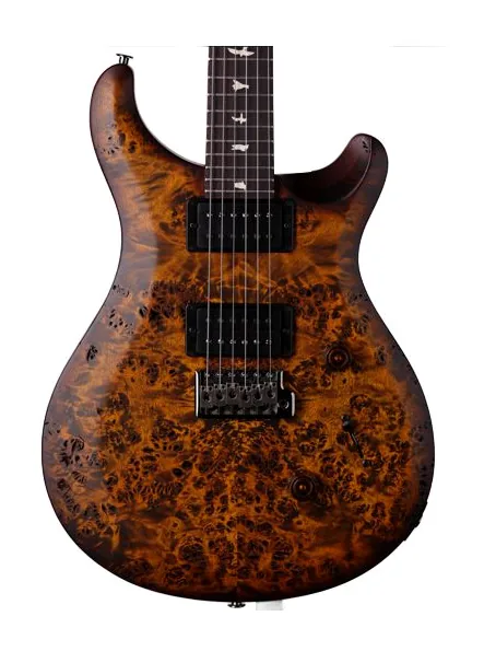 PRS Wood Library S2 Custom 24 BG ujęta od przodu na neutralnym tle