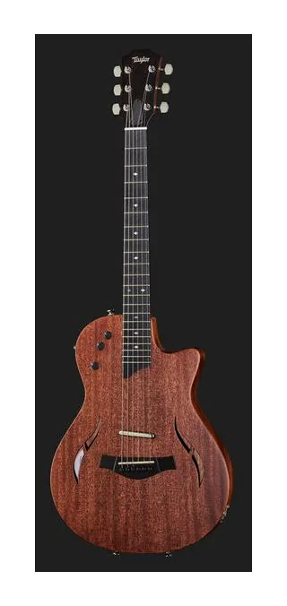Taylor T5z Classic, przetworniki i gałki regulacji