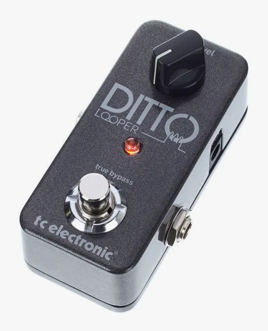 tc electronic Ditto Looper, wejścia i wyjścia z boku
