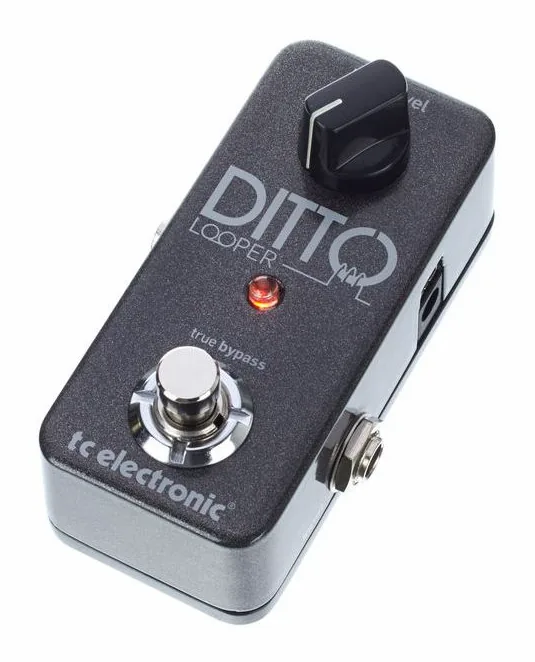 tc electronic Ditto Looper widziana od przodu